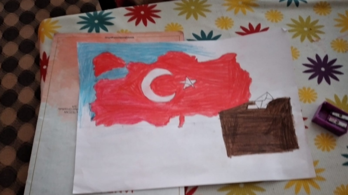 Türk Bayrağı Resim